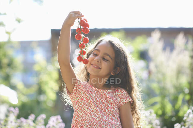 Portrait of girl holding up bunch of cherry tomatoes in garden — Stock Photo