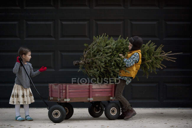 Дівчинка і хлопчик завантажують візок з ялинкою — стокове фото