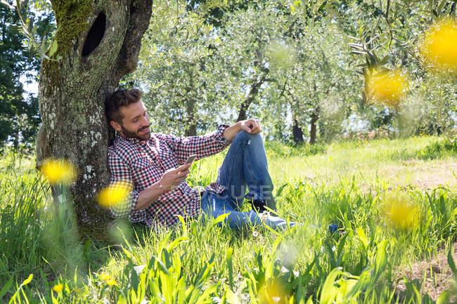 Joven sentado apoyado contra un árbol usando un smartphone mirando hacia abajo sonriendo - foto de stock