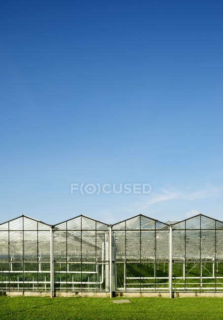 Fila de estufas e céu azul no fundo — Fotografia de Stock