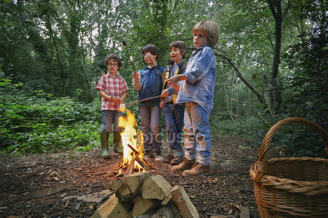 Cuatro chicos brindando malvaviscos en fogata en el bosque - foto de stock