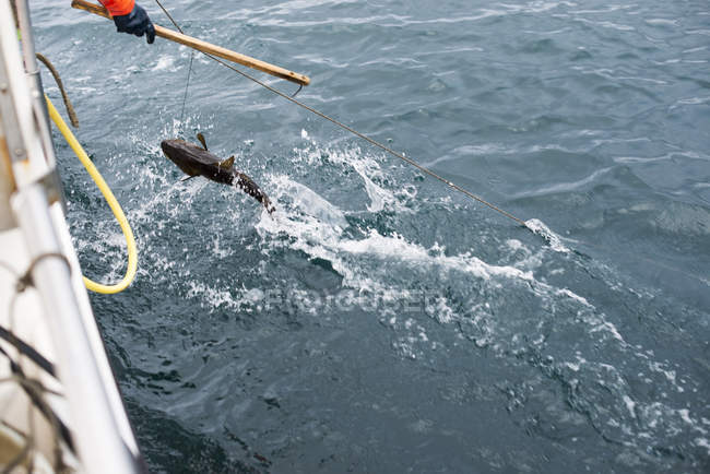 Обрезанное изображение человека, ловившего рыбу — стоковое фото