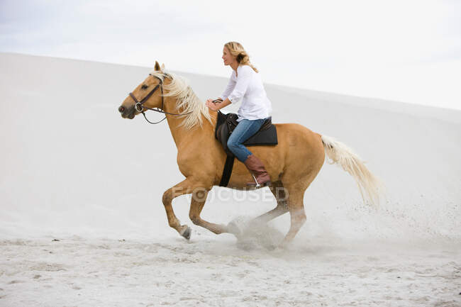 Girl riding horse on the beach — Stock Photo