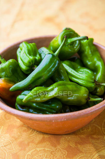 Green jalapeno peppers — Stock Photo