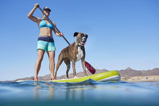 A woman and her dog stand up paddle (SUP) boarding in La Paz, Baja California Sur, Mexico. — Stock Photo