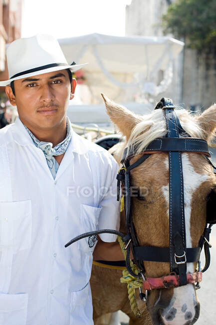 Young man and horse — Stock Photo
