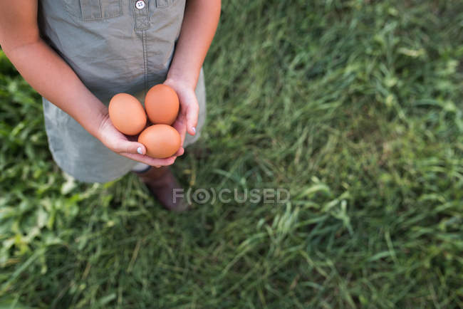 Menina segurando ovos — Fotografia de Stock