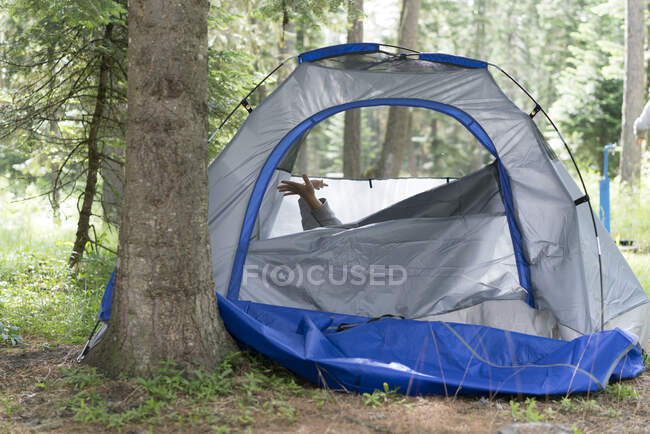 Teenage boy's hands poking out of tent, Washington, USA — Stock Photo