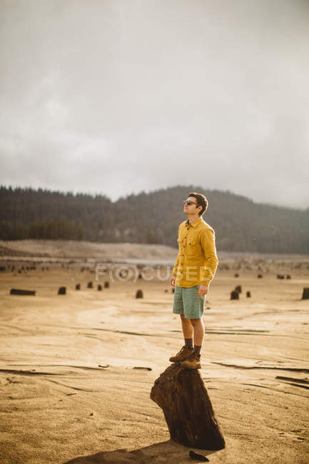 Портрет молодого человека, стоящего на дереве, озеро Хантингтон, Калифорния, США — стоковое фото