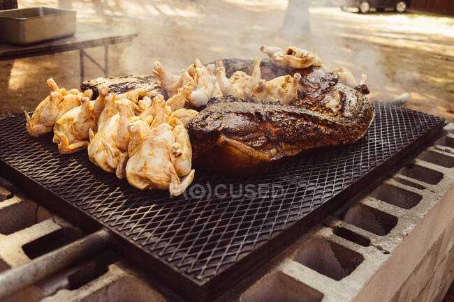 Selection of meats on barbecue grill, close-up — Stock Photo