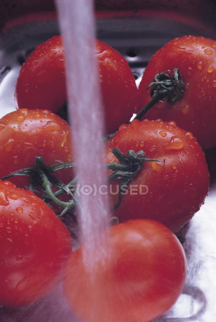 Tomates maduros con agua corriente en movimiento - foto de stock