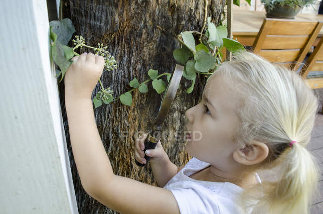 Chica joven mirando las plantas a través de lupa - foto de stock