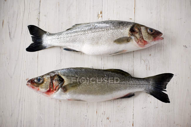 Vista en ángulo alto de dos salmones frescos sobre una mesa de madera - foto de stock