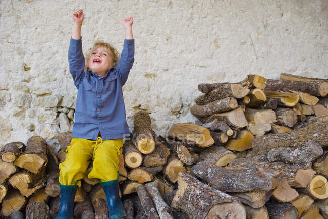 Un chico sentado en una pila de troncos - foto de stock