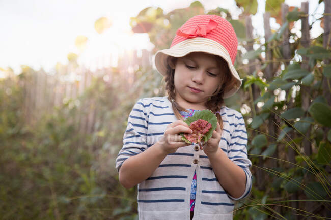 Menina investigando folhas, Blowing Rocks Preserve, Júpiter, Flórida, EUA — Fotografia de Stock