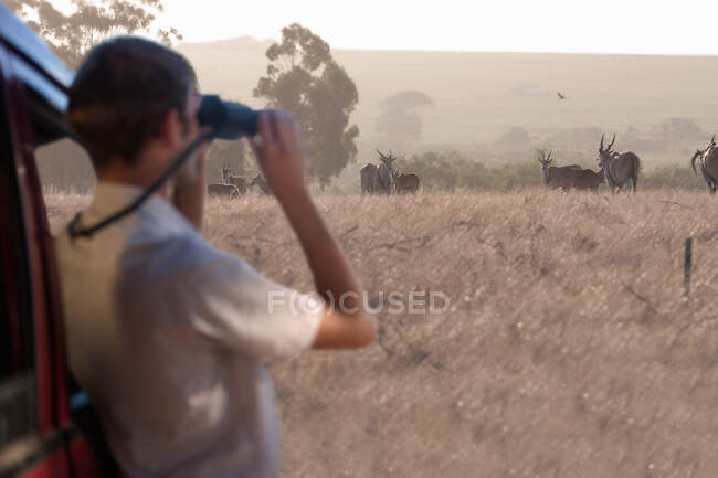 Young man watching wildlife through binoculars, Stellenbosch, South Africa — Stock Photo