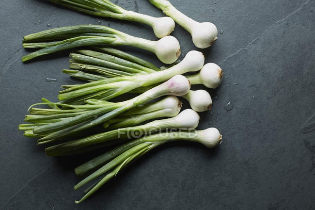 Overhead view of fresh whole spring onions on table — Stock Photo