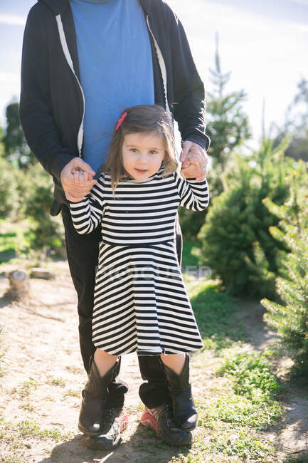 Retrato de una niña pequeña sosteniendo las manos de padre y de pie sobre sus pies por los abetos - foto de stock