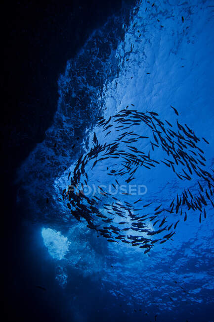 Подводный вид на красивое море — стоковое фото