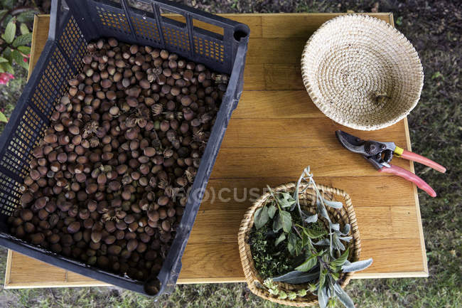 Crate of nuts on table in garden, top view — Stock Photo