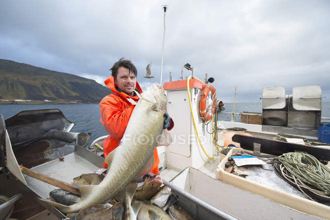 Fisherman holding freshly caught cod on fishing boat — Stock Photo