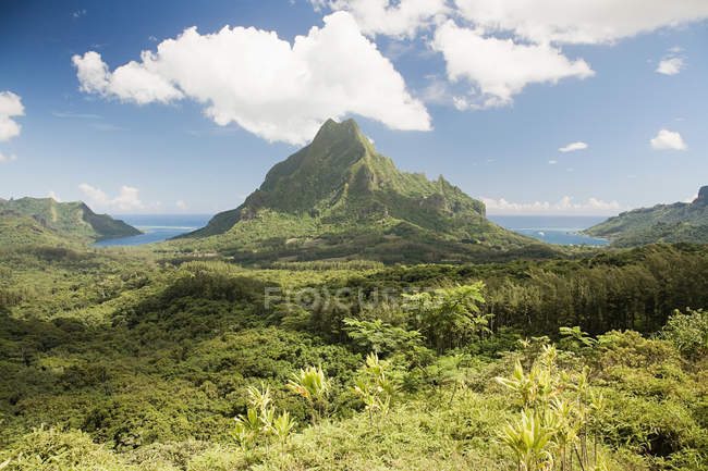 Острови Товариства Moorea — стокове фото