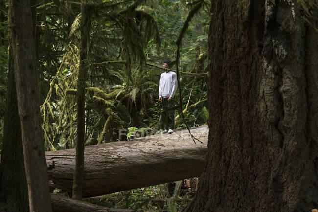 Teenage boy standing on fallen tree trunk looking away, Pacific Rim National Park, Vancouver Island, Canada — Stock Photo
