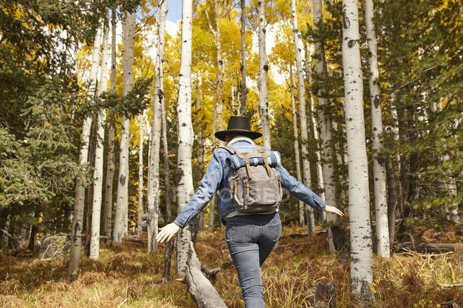 Frau wandert durch ländliche Umgebung, Flagstaff, arizona, usa — Stockfoto