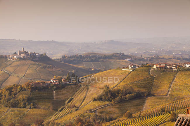 Landscape with autumn vineyards and village buildings — Stock Photo