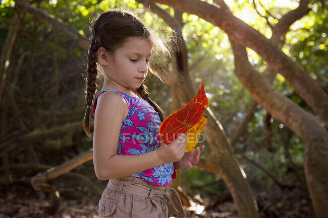 Girl collecting seagrape (coccoloba uvifera) leaves, Blowing Rocks Preserve, Jupiter, Florida, USA — Stock Photo