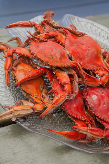Cooked crabs on glass tray — Stock Photo