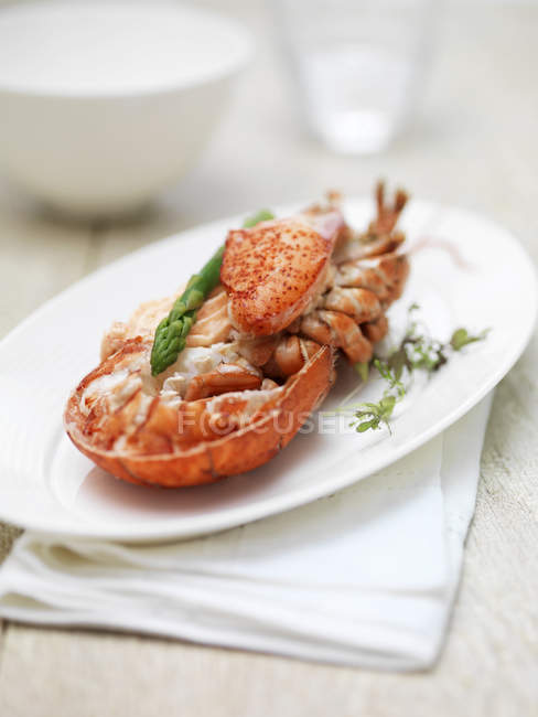 Portion de chair de homard habillée sur assiette — Photo de stock