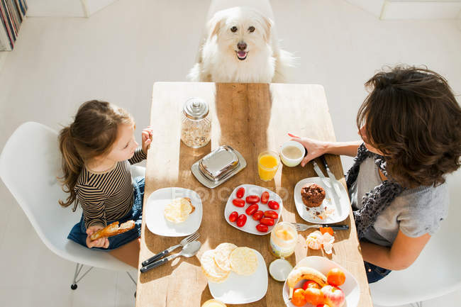 Mother and daughter at table with dog — Stock Photo