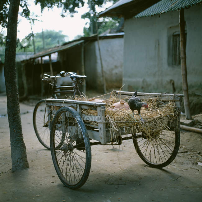 Курица на спине рикши — стоковое фото