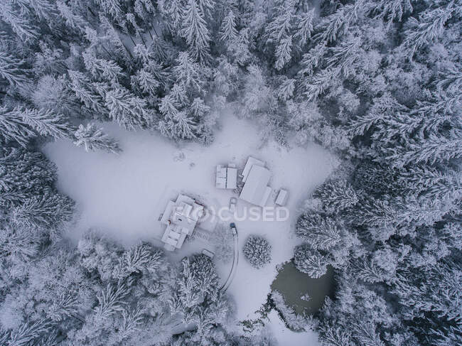 Rural snow covered landscape, overhead view — Stock Photo