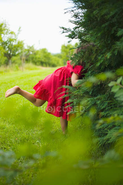 Une fille qui regarde dans les buissons — Photo de stock