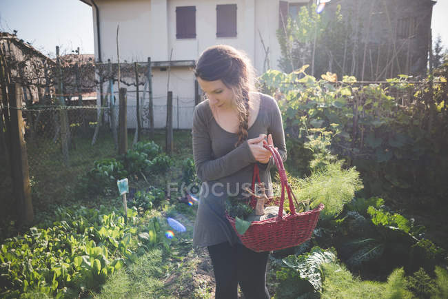 Mujer joven sosteniendo cesta en el jardín - foto de stock