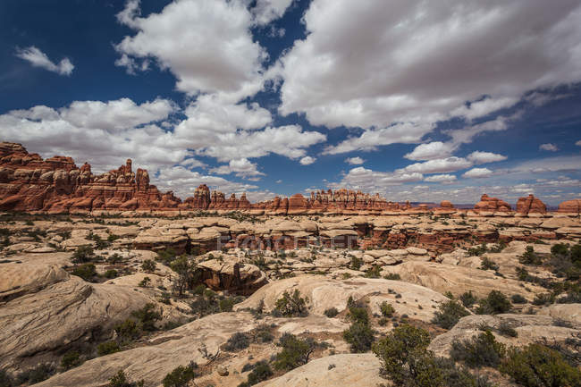 Скельні утворення в сухій пустелі — стокове фото