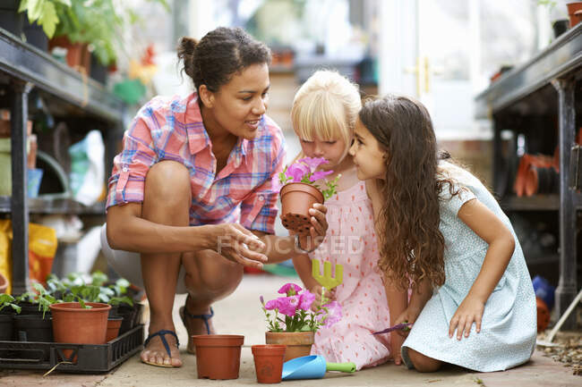 Mujer adulta mediana y dos niñas oliendo macetas en invernadero - foto de stock