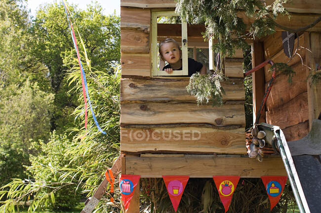 Мальчик в домике на дереве — стоковое фото