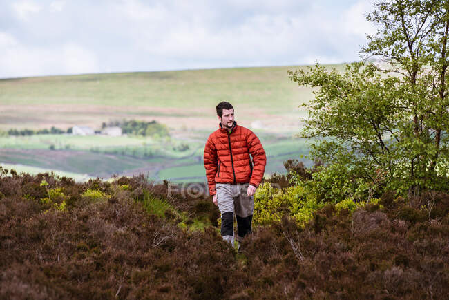 Young male hiker on heather moors, Pateley Bridge, Nidderdale, Yorkshire Dales — Stock Photo