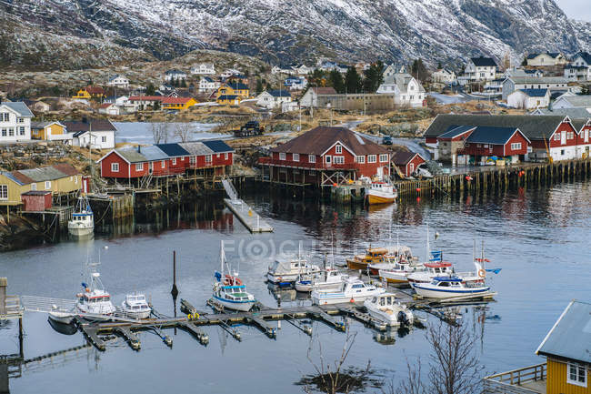 Barcos de pesca no porto, Reine, Lofoten, Noruega — Fotografia de Stock