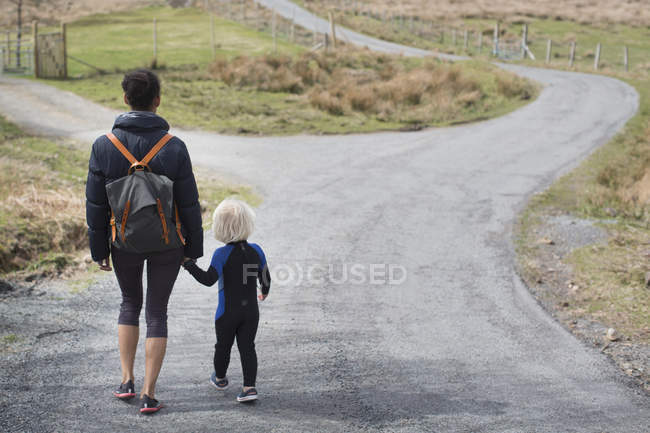 Madre e hijo caminando por el camino del campo tomados de la mano, vista trasera - foto de stock
