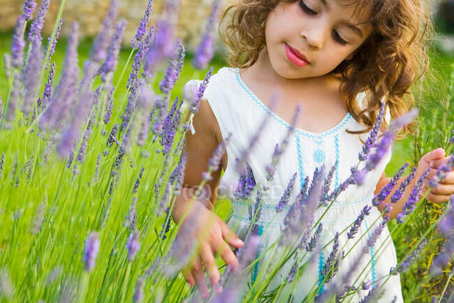 A girl looking at lavender — Stock Photo