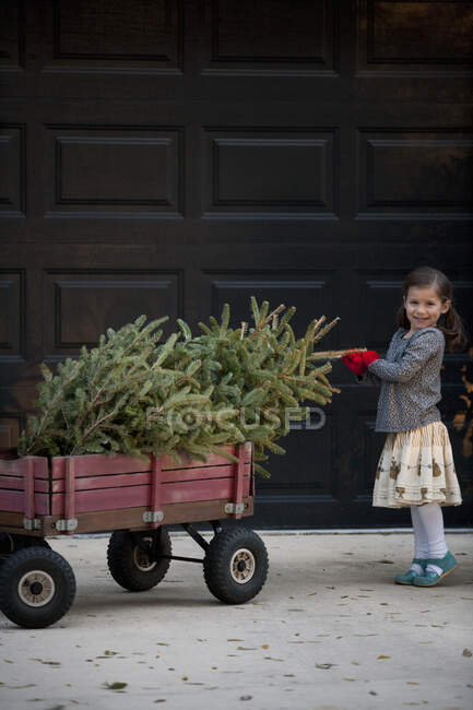 Portrait of a girl pushing cart with christmas tree — Stock Photo