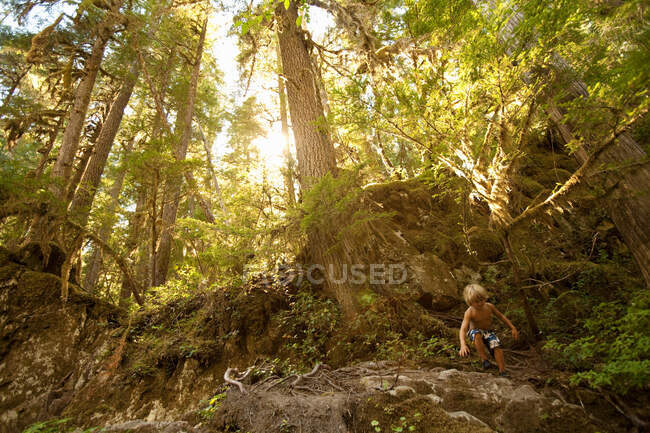 Niño escalando sobre rocas en el bosque - foto de stock