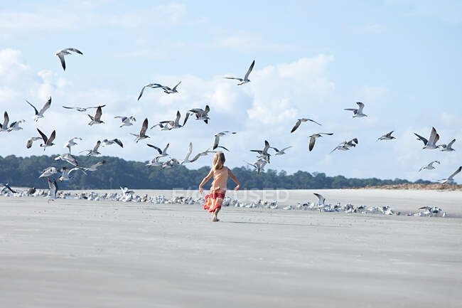 Menina correndo na praia entre gaivotas — Fotografia de Stock