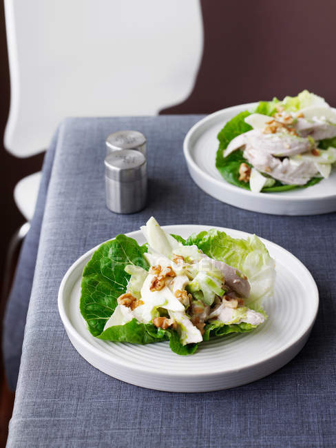 Placas de salada com frango — Fotografia de Stock