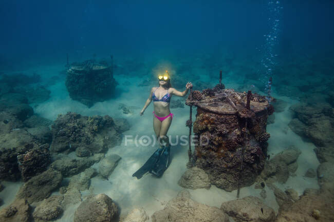 Underwater view of woman on seabed snorkeling, Oahu, Hawaii, USA — Stock Photo