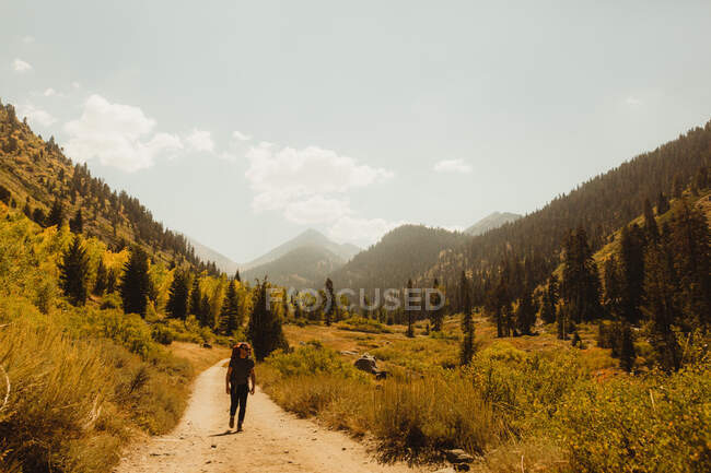 Homem caminhando ao longo do caminho rural, Rei Mineral, Sequoia National Park, Califórnia, EUA — Fotografia de Stock